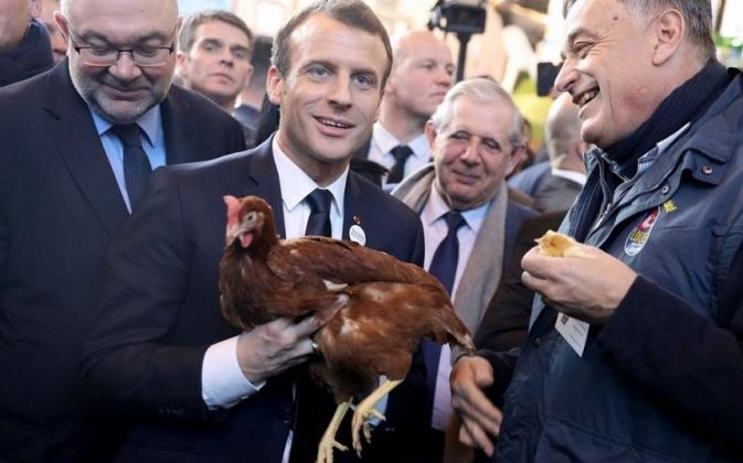 macron-poule-tw