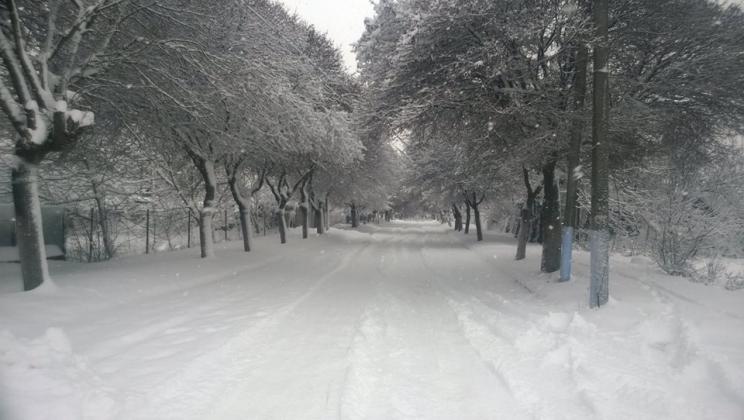 Foto: Facebook/Dmitrii Kushnir‎