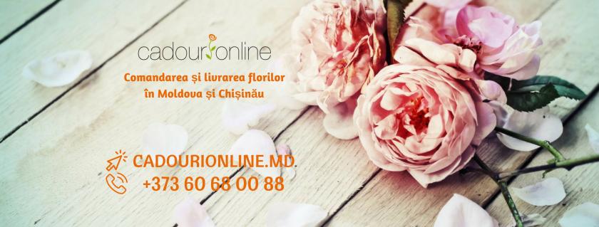 cadourionline-2