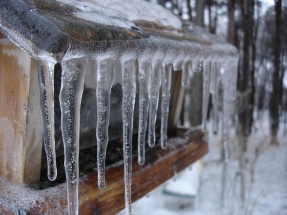 icicles-208484_1280