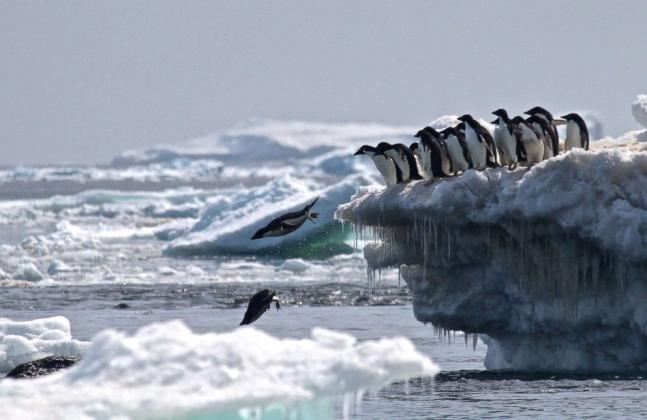 Foto: ABC News
