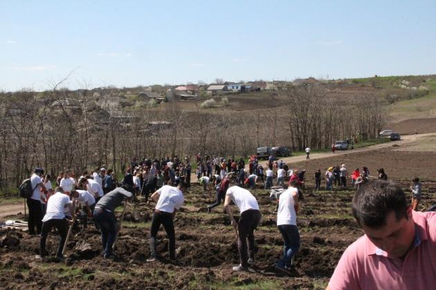 Foto: undp
