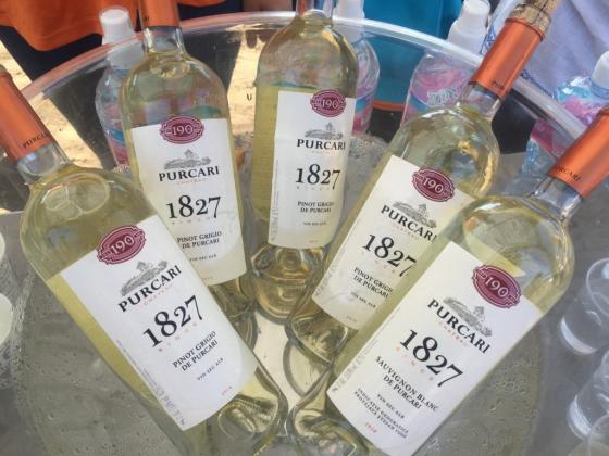 Foto: VINEDINSUFLET