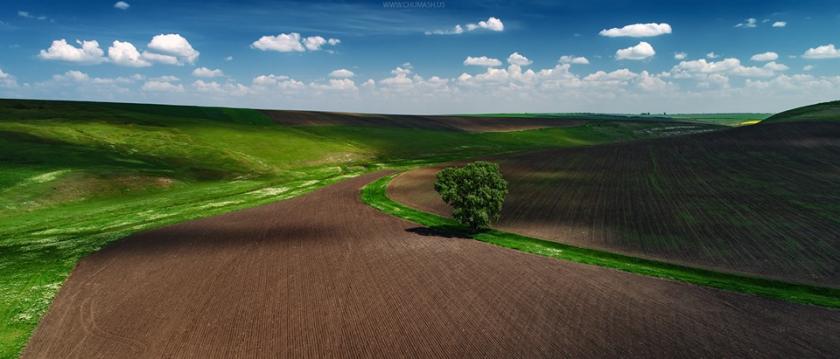 Foto: Facebook / Maxim Chumash