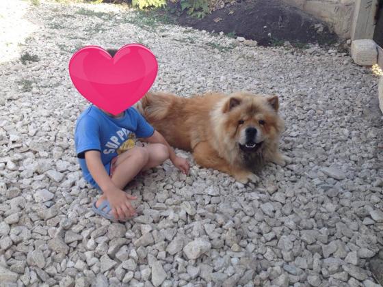 Foto: Кишиневский клуб волонтеров / Clubul Voluntarilor din Chisinau !