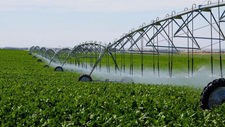 agricultori