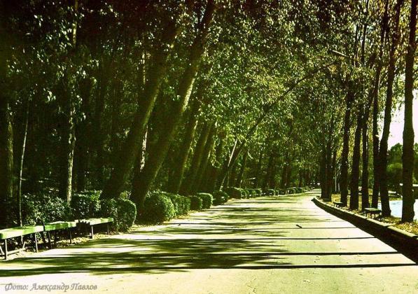 Foto: Alexandr Pavlov