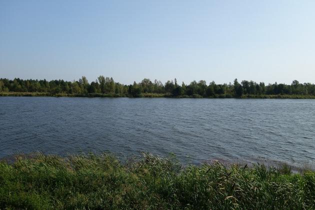 pripyat_river_in_chernobyl_2