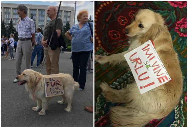 Foto: Irina Ghelbur