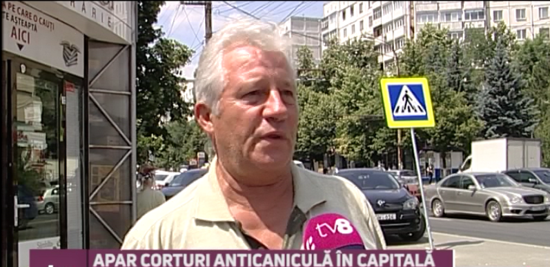 canicula