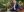 /VIDEO/ Dodon, despre situația din Chișinău: Se luptă proeuropenii cu proeuropenii