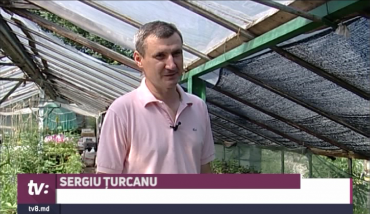 turcanu