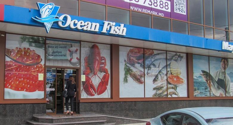 ocean-fish