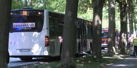 autobuz-5