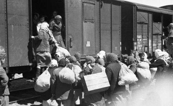 deportari