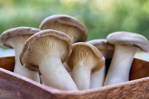 dieta-cu-ciuperci-cum-sa-slabesti-natural-si-sanatos-18518412