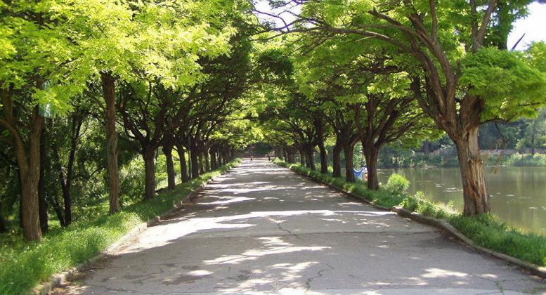 parcul