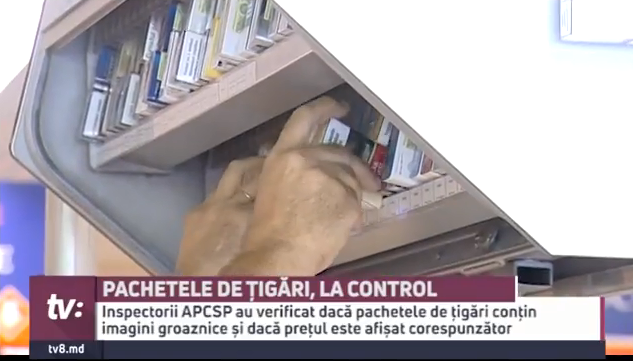 tigari-3