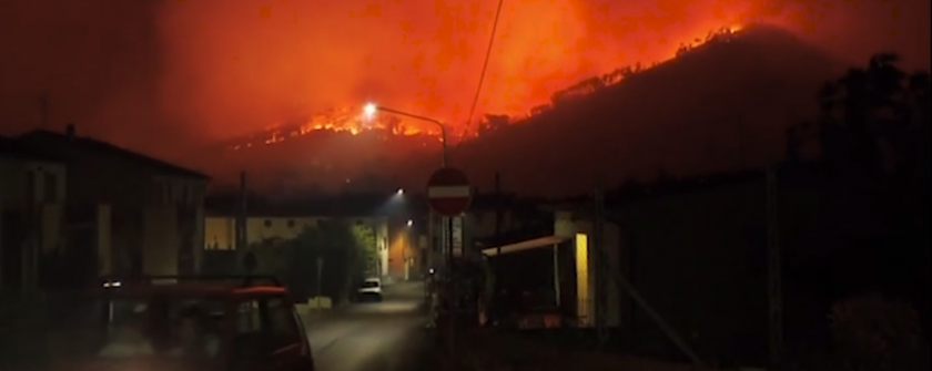 Video: mediafax