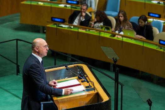 filip-la-onu