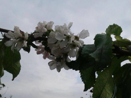 Foto: tvn