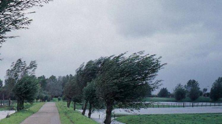 Foto: Digi24
