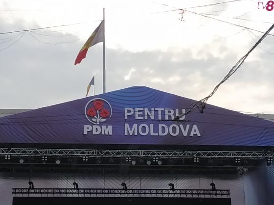 pdm3