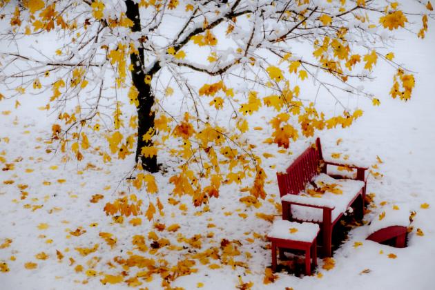 Foto simbol: staticflickr