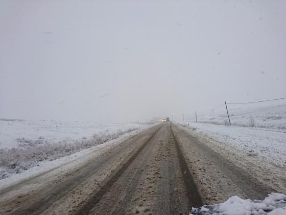 Foto simbol: botosaninews