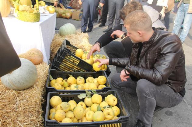 Foto: madrm.gov
