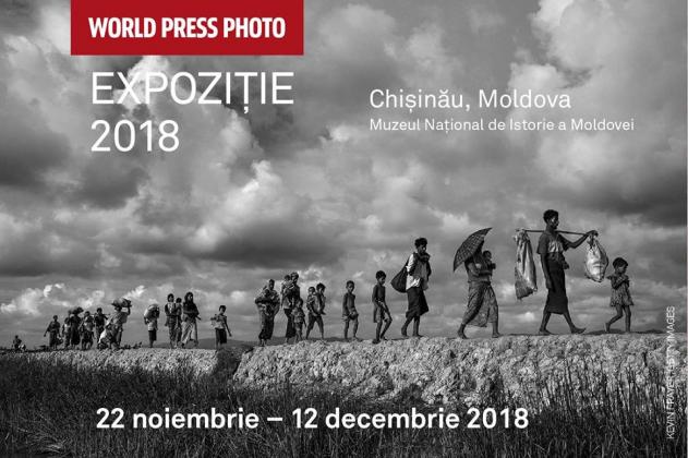 expozitie