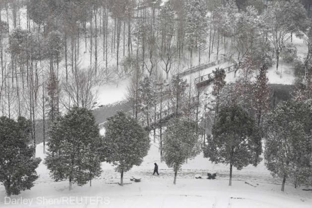 Foto: REUTERS/Darley Shen