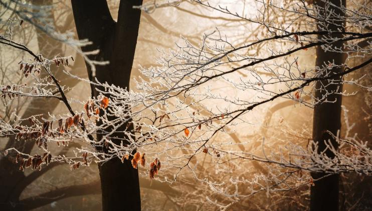 Foto simbol: squarespace
