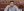 /VIDEO/ Încă un candidat în diasporă. În total, pe circumscripția 51 din SUA și Canada, și-au anunțat intenția să candideze 14 persoane