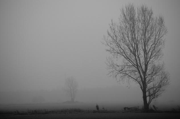 Foto simbol: Pixabay