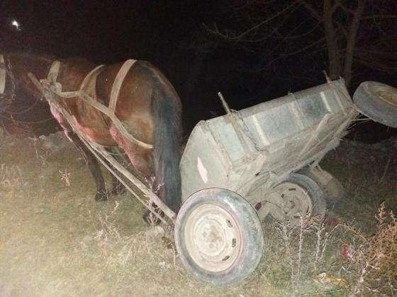 Foto: Facebook/Inspectoratul Național de Patrulare al IGP
