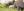 Miracol „Roz”. Un elefant de culoare roz a devenit noul locuitor al savanei africane
