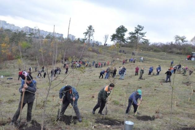 Foto: chisinau