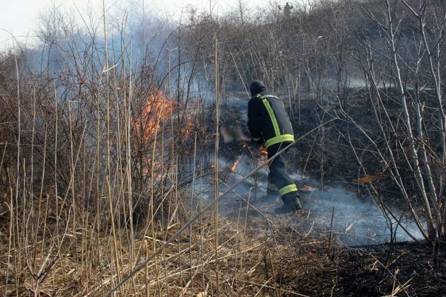 incendiu-vegetatie-27