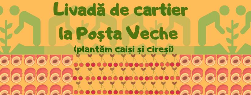 Foto: facebook/Comunități Active pentru Democrație Participativă CADP