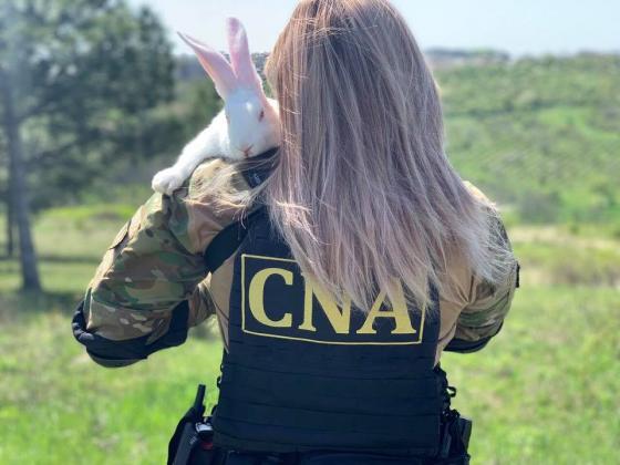 Foto: CNA
