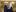 Președintele Igor Dodon l-a invitat din nou pe Patriarhul Kirill să viziteze Moldova