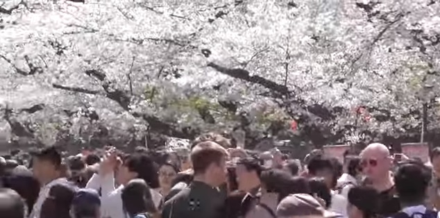 Video: Facebook/ Ambasada Japoniei în Republica Moldova