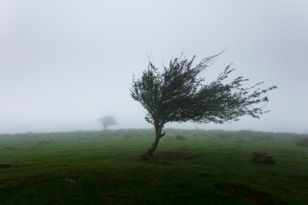 Foto simbol: unsplash