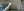 /VIDEO/ ȘTIRI PE SCURT: Un papagal face senzație pe YouTube. Acestea se leagănă și dă din cap pe hituri internaționale