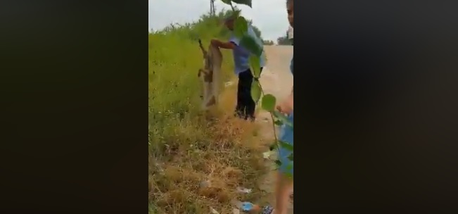 Video: Facebook/ chisinau
