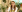 /VIDEO/ Afacere cu iz „verde”. Anastasia transformă oficiile și locuințele în adevărate grădini botanice în miniatură