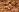 /VIDEO/ Sandu a ajuns la problema monopolului la exportul nucilor. A cerut crearea unei comisii