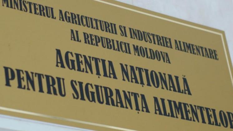 ansa