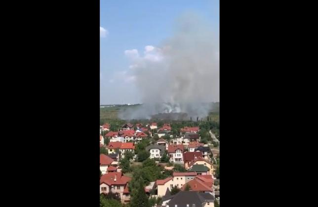 Video: Facebook/
Диана Маковенко